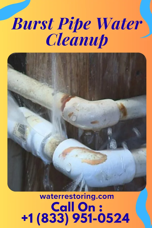 Burst Pipe Water Cleanup in Reedsville, WV