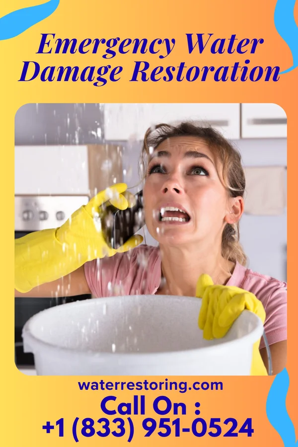 Emergency Water Damage Restoration in Reedsville, WV