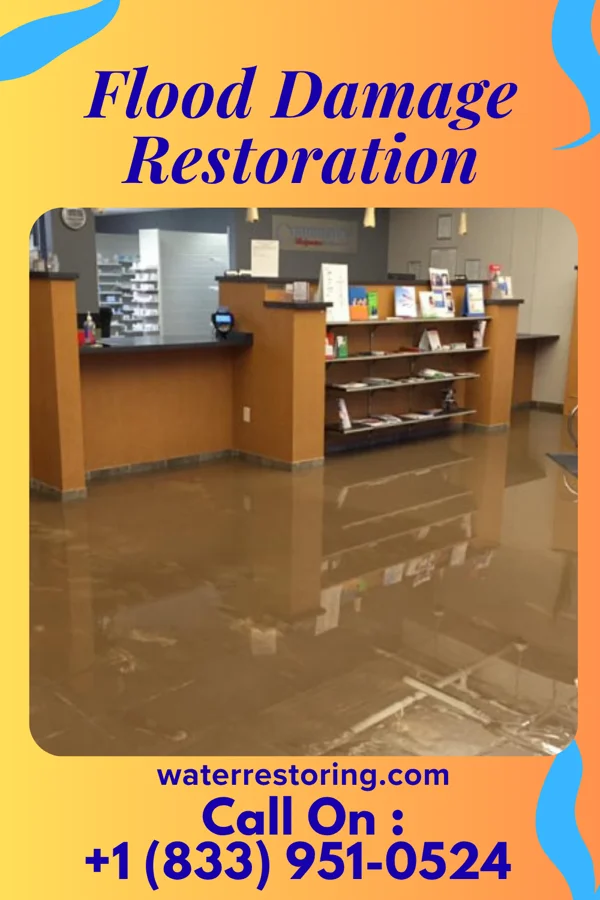 Flood Damage Restoration in Reedsville, WV