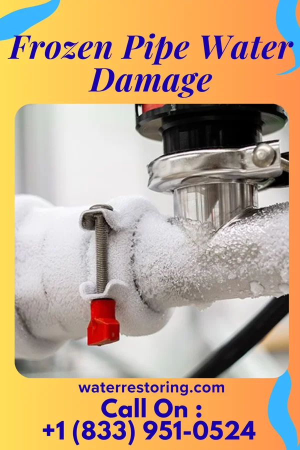 Frozen Pipe Water Damage in Reedsville, WV