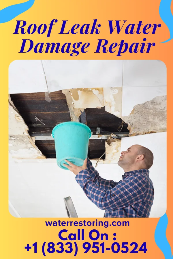 Roof Leak Water Damage Repair in Reedsville, WV