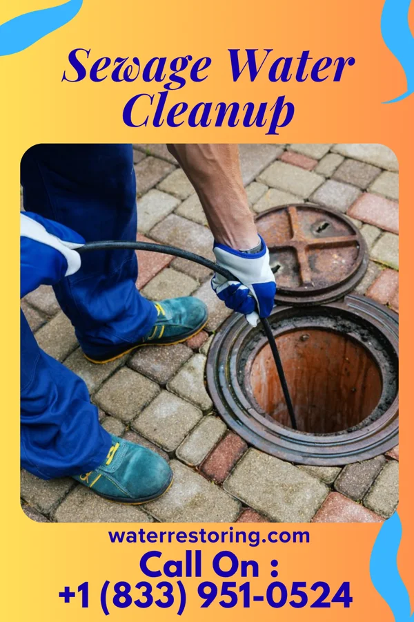 Sewage Water Cleanup in Reedsville, WV